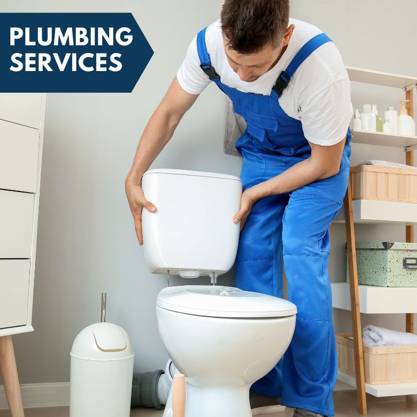 Plumbing Company in South Holland, IL